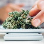 What are the New Cannabis Laws re: Dispensaries and Private Licenses?
