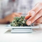 Cannabis Laws: A Cannabis Lawyer Answers Your Questions