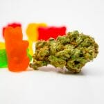 Marijuana Edibles are Here! Government of Canada Unveils Its Regulations for Cannabis Edibles, Oils and Topicals