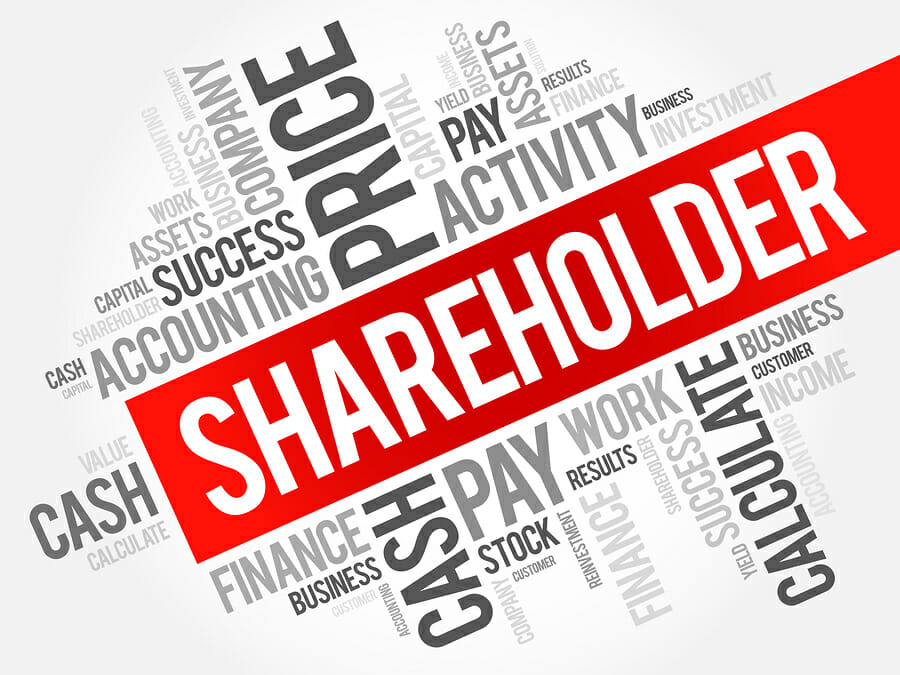 Why do you need a shareholders agreement