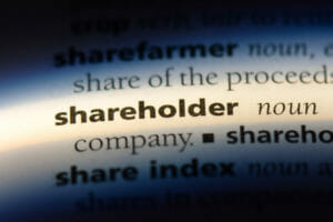 shareholder loans