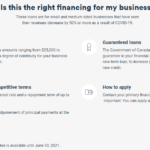 The Highly Affected Sectors Credit Availability Program (HASCAP)