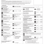 Central Obligations of Provincial and Federal Corporations on an Annual Basis